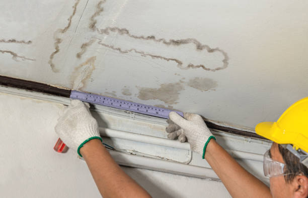 Reliable Mold Remediation contractor in Lucasville, OH by Water Damage Irwin